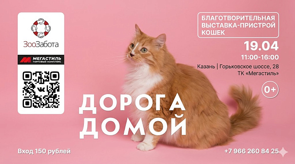 Cattoi и «Зоозабота»: встречаемся 19 апреля!